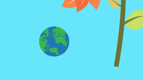 Earth day 库存影片 334640679