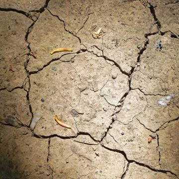Earth drought texture Stock Photos