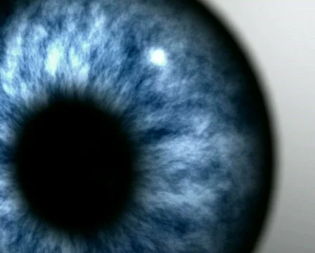Earth in Eye - PAL Stock-Footage 267428