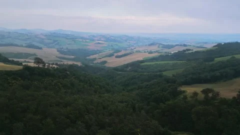 Earth. Fields. Fields after the harvest. The forest in the fog. Trees in the Stock-Footage 263294594