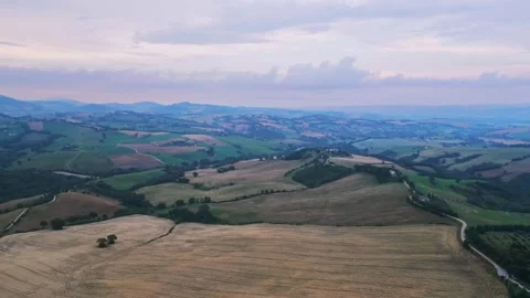 Earth. Fields. Fields after the harvest. Overcast weather. Coniferous trees. An Stock Footage 263380325