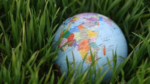 Earth globe in green grass in the wind Stock Footage 129082307