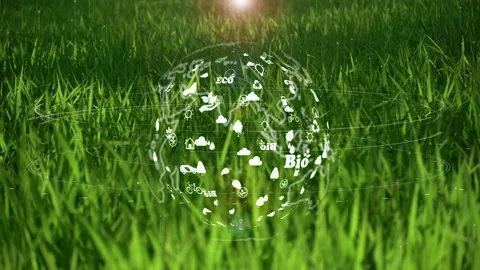 The earth on green grass background with environment ecology sign hologram on na Stock Footage 169422213