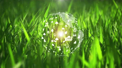 The earth on green grass background with environment ecology sign hologram on na Stock Footage 169422221