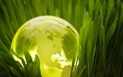Earth in green grass Stock Illustration