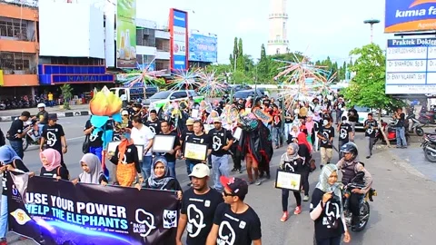 Earth Hour Aceh activists held actions save Sumatran elephants Stock Footage 231414664