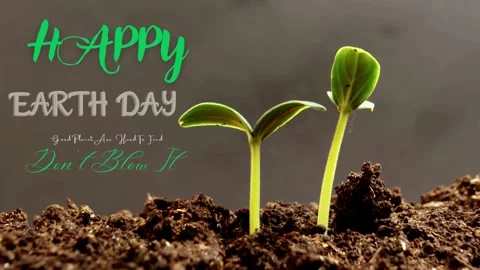 Earth, leaf, planet, poster, save, ecology, happy, illustration, april, desig Stock Footage 269121887