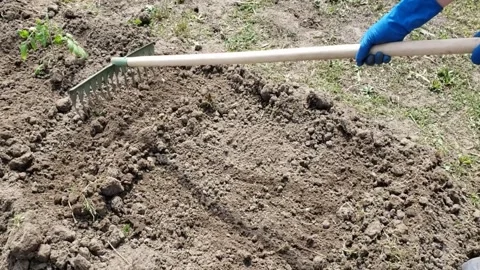 Earth leveling with rakes Stock Footage 310795508