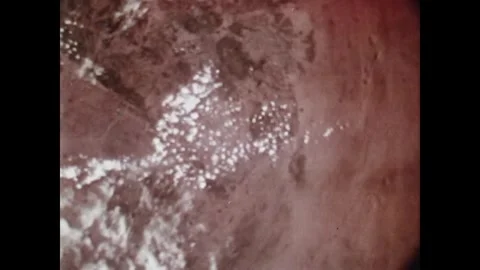 EARTH ORBIT - 1973: Cloud puffs — Skylab 3 EREP Africa scattered clouds Stock Footage 348025221