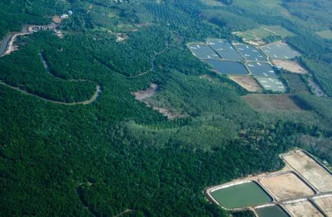 Earth over view Stock Photos