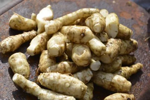 Earth pear Stock Photos