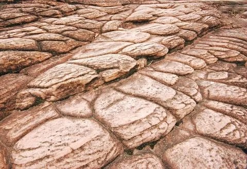 On the earth Stock Photos