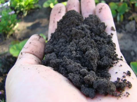 Earth Stock Photos