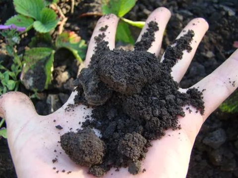 Earth Stock Photos