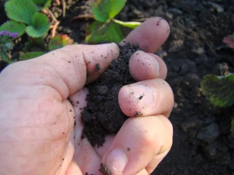 Earth Stock Photos