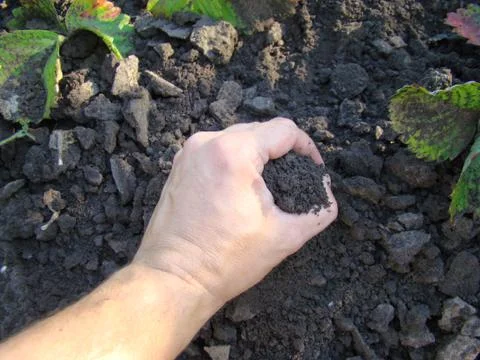 Earth Stock Photos