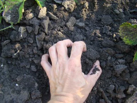 Earth Foto stock