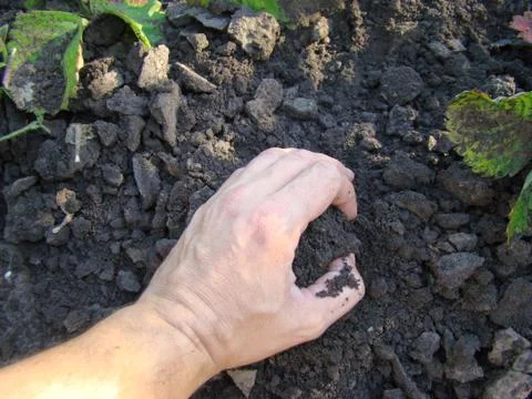Earth Stock Photos