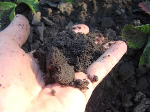 Earth Stock Photos