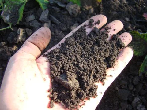 Earth Foto stock