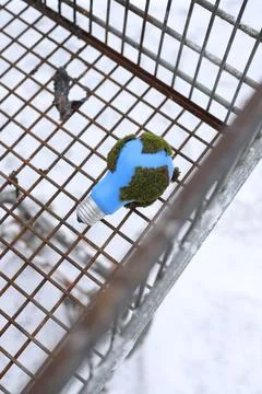 Earth Stock Photos