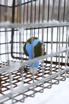 Earth Stock Photos