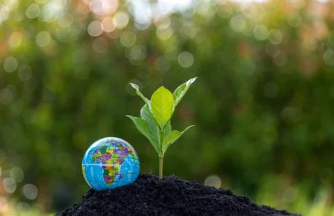 Earth, planet and globe are our home. Environmental is a nature and ecology.. Stock Photos