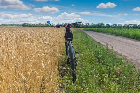 Earth road through summer fields and bicycle resting on the  roadside Stock Photos