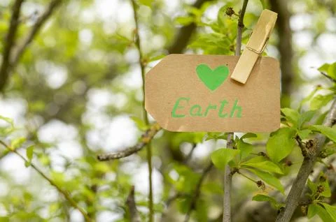 Earth sign tree Stock Photos