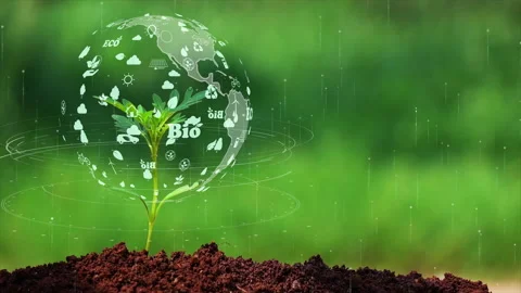 The earth on a small tree with environment ecology sign hologram on natural back Stock Footage 169422856