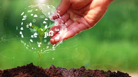The earth on a small tree with environment ecology sign hologram on natural back Stock Footage 169422874