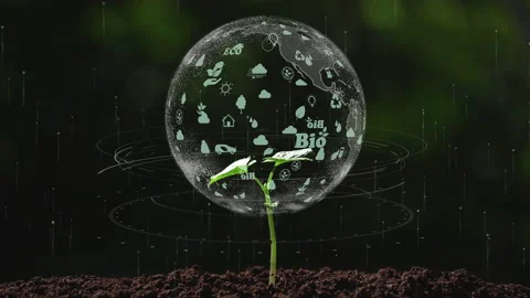 The earth on a small tree with environment ecology sign hologram. Stock Footage 172562854