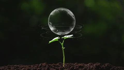  The earth on a small tree with environment ecology sign hologram. Stock Footage 223469496
