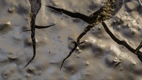 Earth splitting macro drying from wet soil timelapse drought Stock Footage 102728225