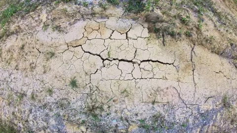 Earth surface field soil Vidéo 238660360