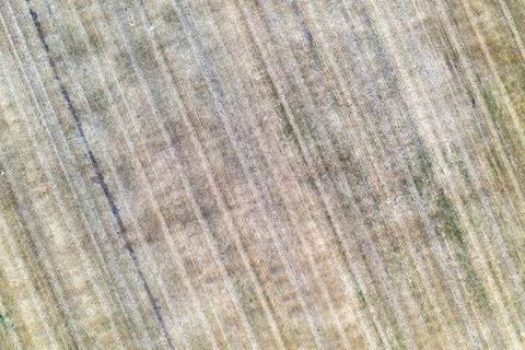 Earth surface Stock Photos