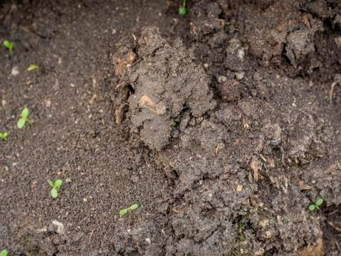 Earth texture Stock Photos