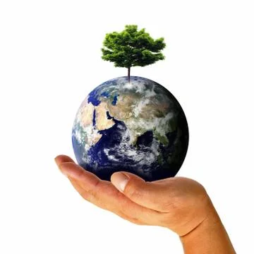 Earth with tree in hand Illustrazione stock