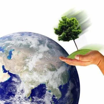 Earth with tree in hand Illustrazione stock