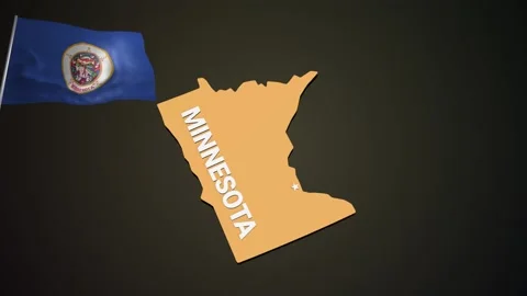 Earth USA Minnesota Night Stock Footage 133607035