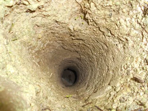 Earthen hole resembling a cave passage Stock Photos