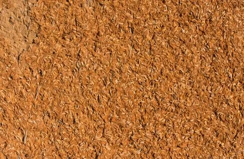 Earthen wall. Stock Photos