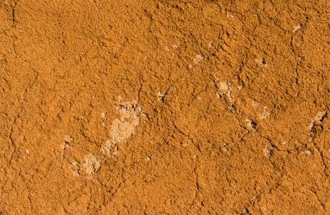 Earthen wall. Stock Photos