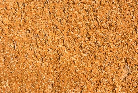 Earthen wall. Stock Photos