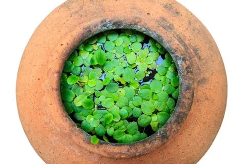 Earthenware jar Stock Photos