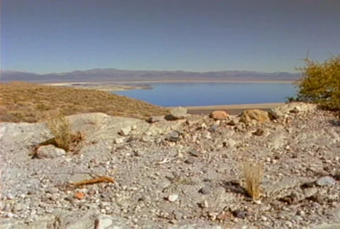Earthquake fx 01 Video stock 505418