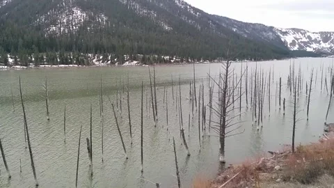 Earthquake Lake Dead Trees Stock Footage 168911291