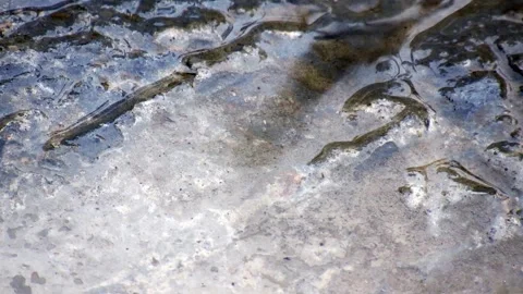 Soil Shaking Stock Videos – Royalty-Free HD & 4K Videos