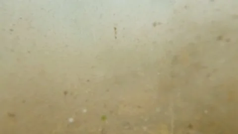 Earthquake-like shot under river normal speed Stock Footage 152443020