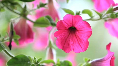 Earthquake simulation Stock Footage 739359